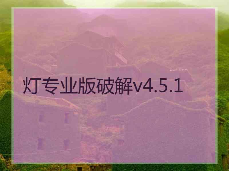 灯专业版破解v4.5.1