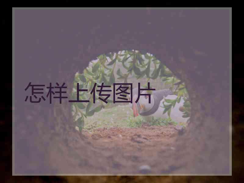 怎样上传图片