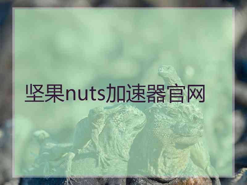 坚果nuts加速器官网