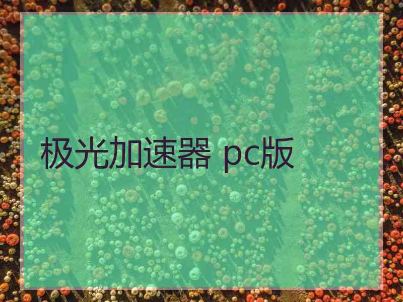 极光加速器 pc版