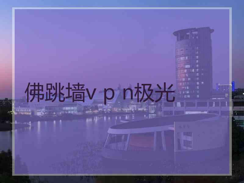 佛跳墙v p n极光