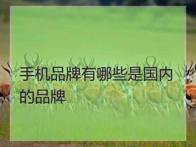 手机品牌有哪些是国内的品牌