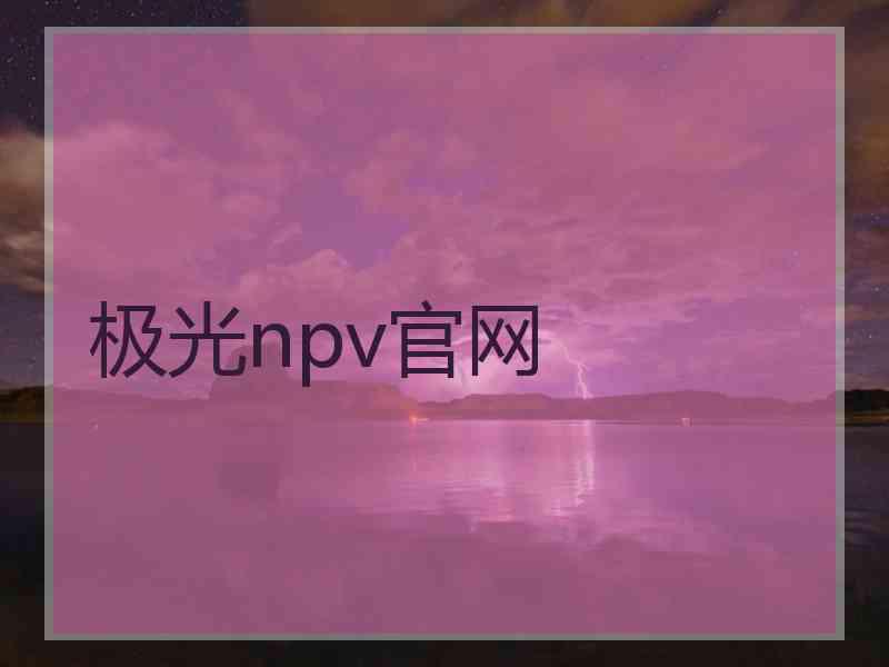 极光npv官网