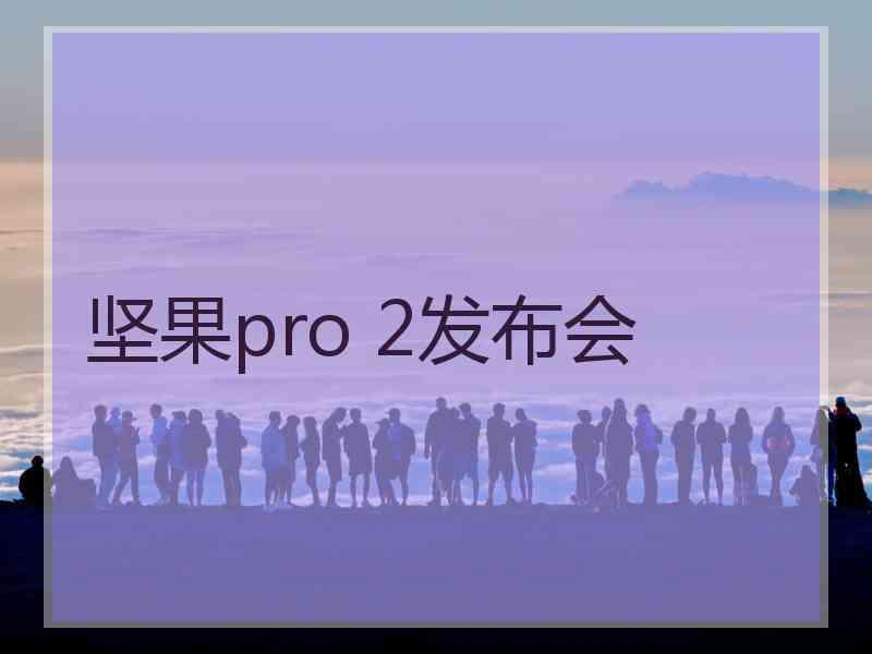 坚果pro 2发布会