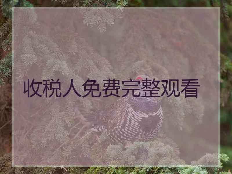 收税人免费完整观看