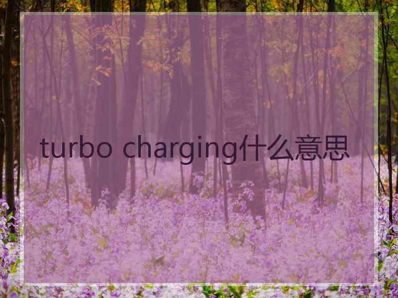 turbo charging什么意思