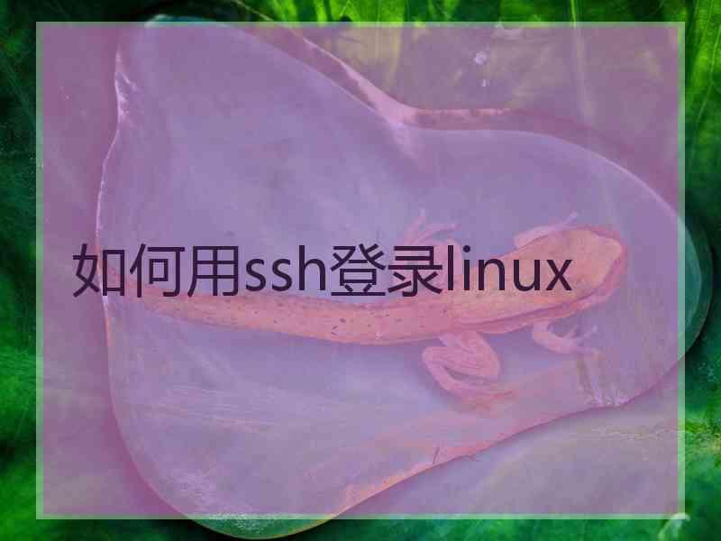 如何用ssh登录linux