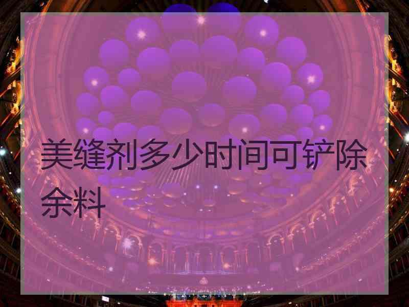 美缝剂多少时间可铲除余料