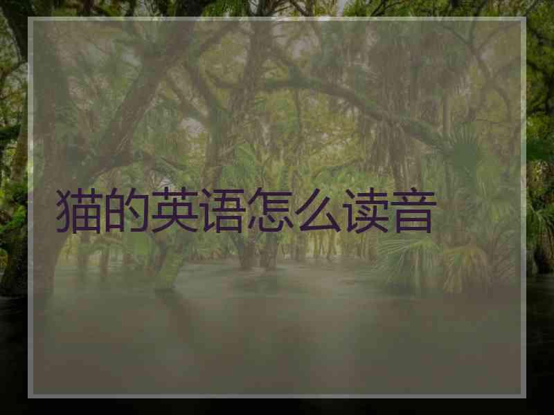 猫的英语怎么读音
