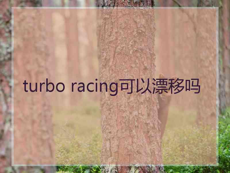 turbo racing可以漂移吗