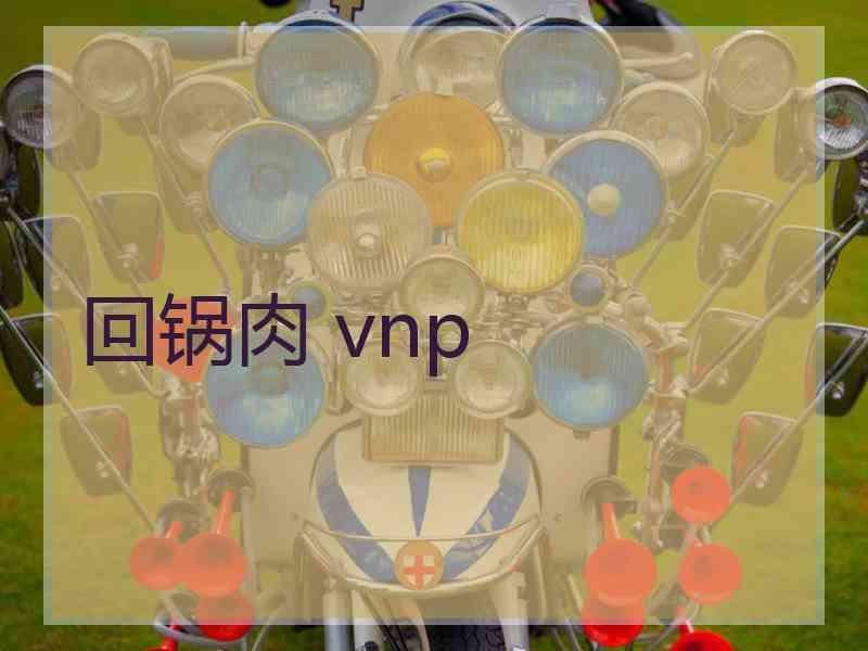 回锅肉 vnp