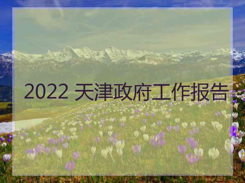 2022 天津政府工作报告