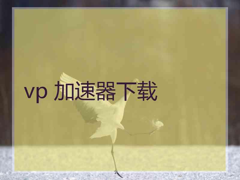 vp 加速器下载