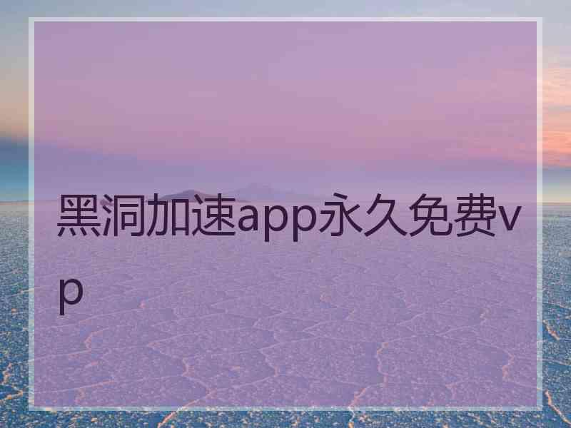 黑洞加速app永久免费vp