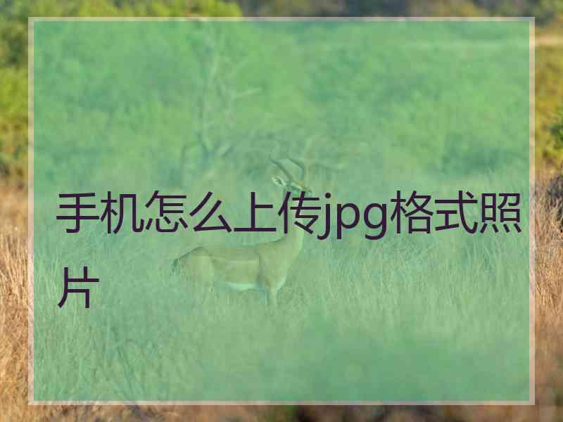 手机怎么上传jpg格式照片