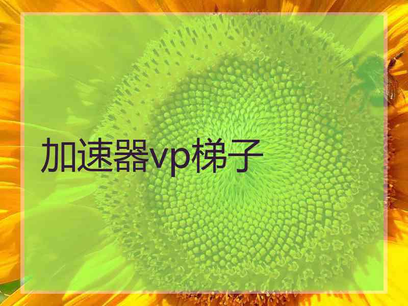 加速器vp梯子