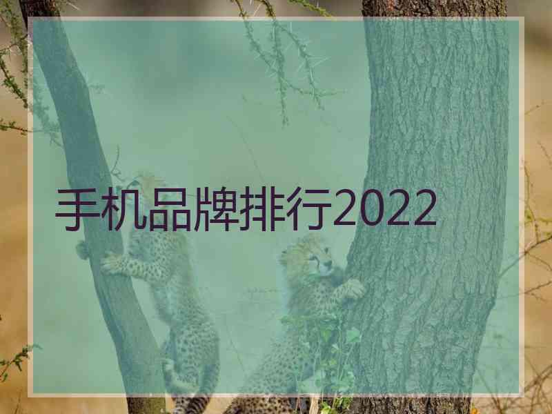手机品牌排行2022