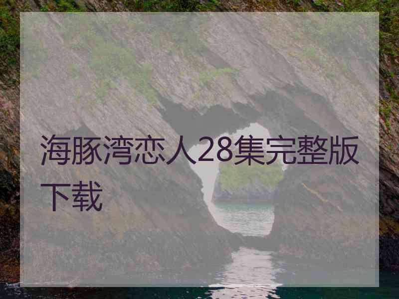 海豚湾恋人28集完整版下载