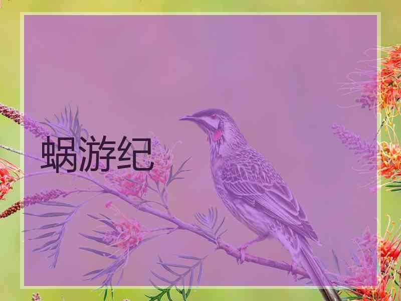 蜗游纪