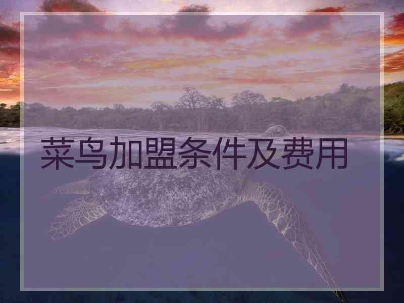 菜鸟加盟条件及费用