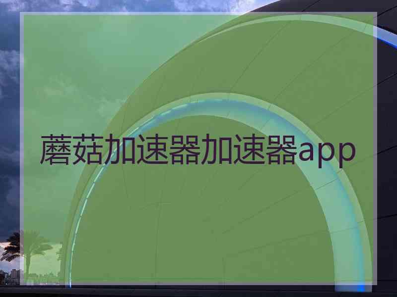 蘑菇加速器加速器app