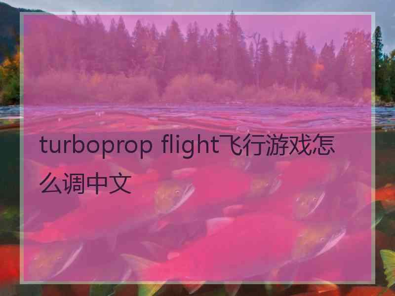 turboprop flight飞行游戏怎么调中文