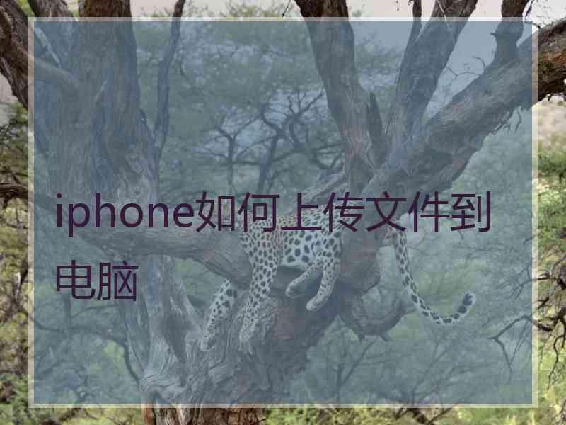 iphone如何上传文件到电脑