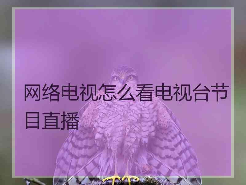 网络电视怎么看电视台节目直播