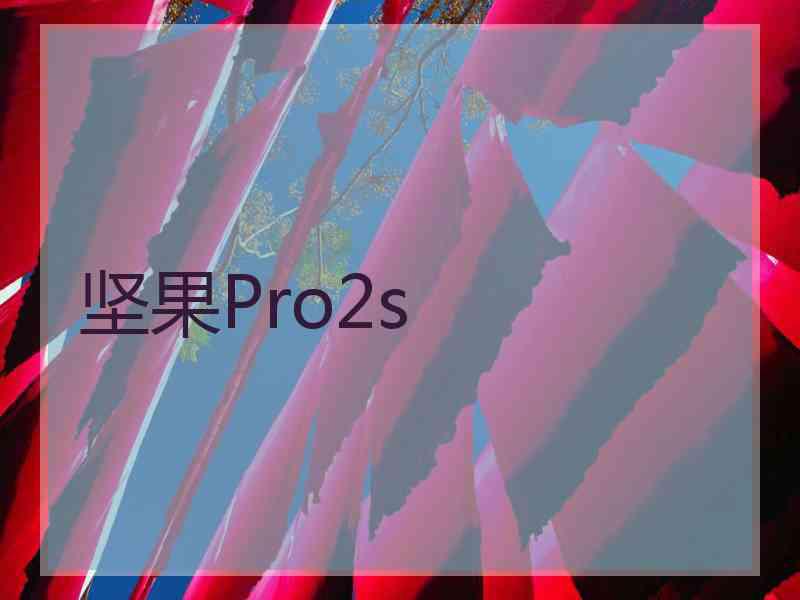 坚果Pro2s