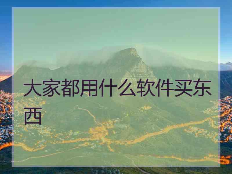 大家都用什么软件买东西