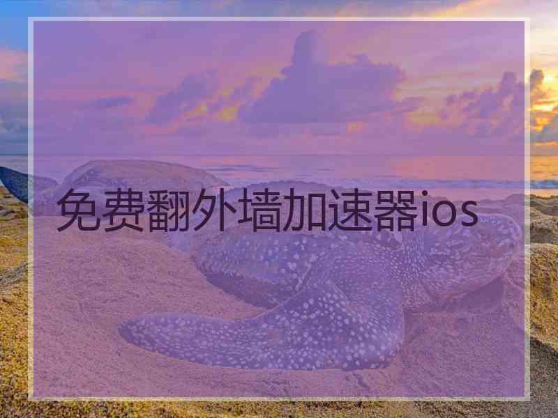 免费翻外墙加速器ios