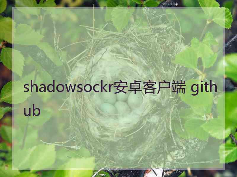 shadowsockr安卓客户端 github