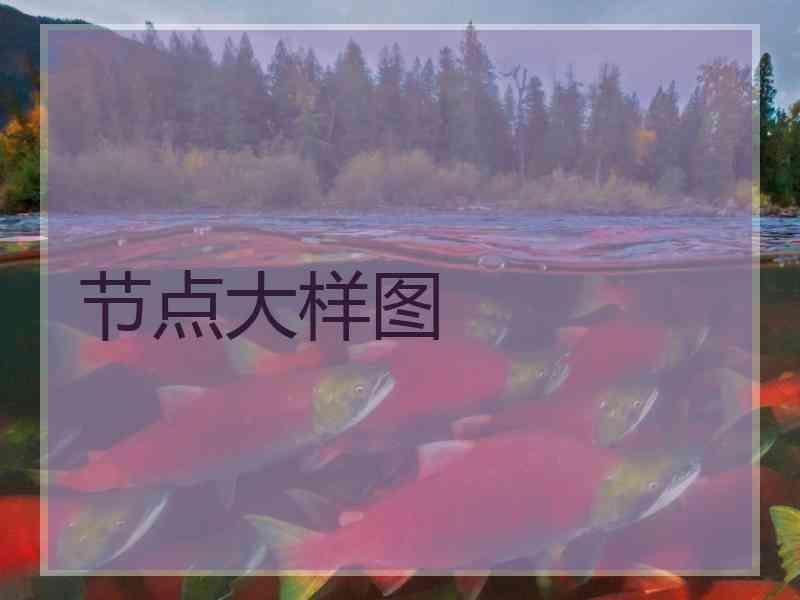 节点大样图