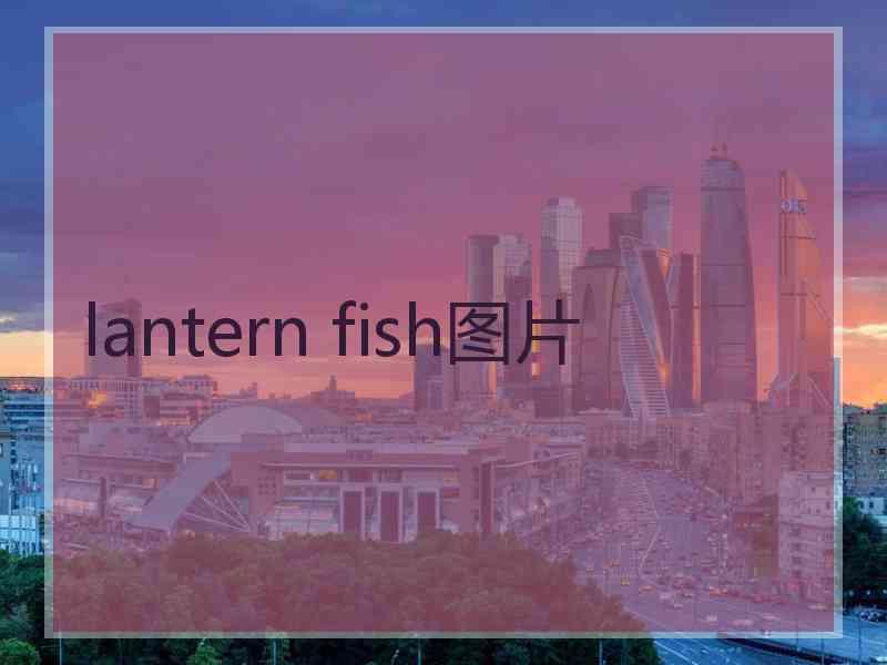 lantern fish图片