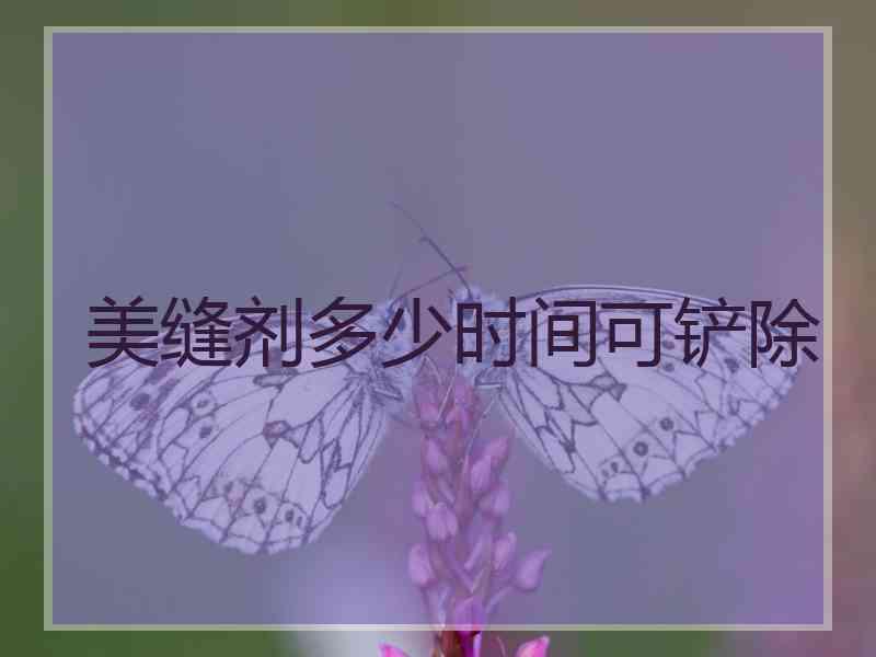 美缝剂多少时间可铲除