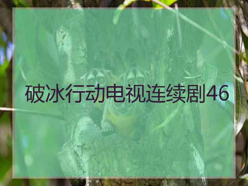 破冰行动电视连续剧46