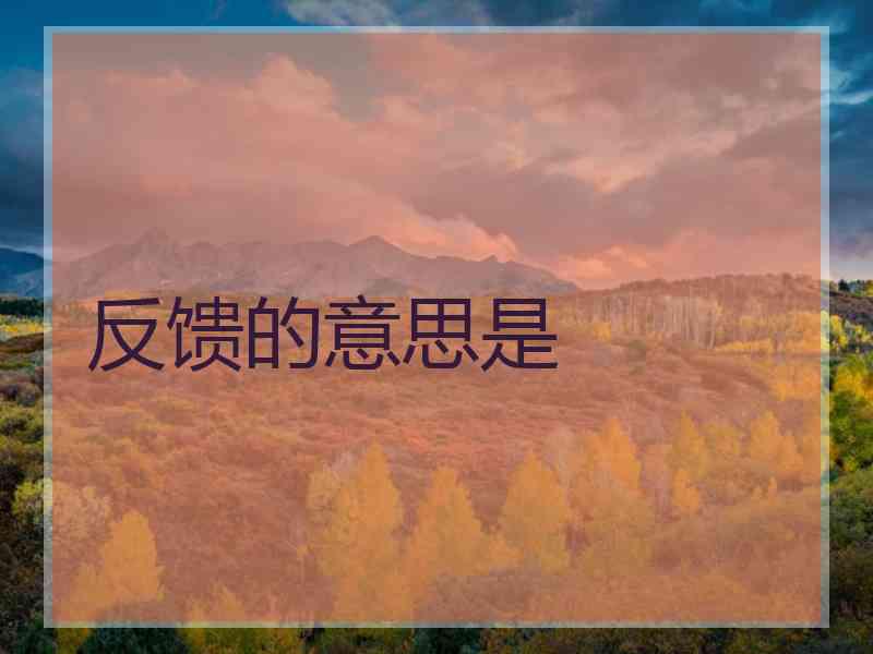 反馈的意思是