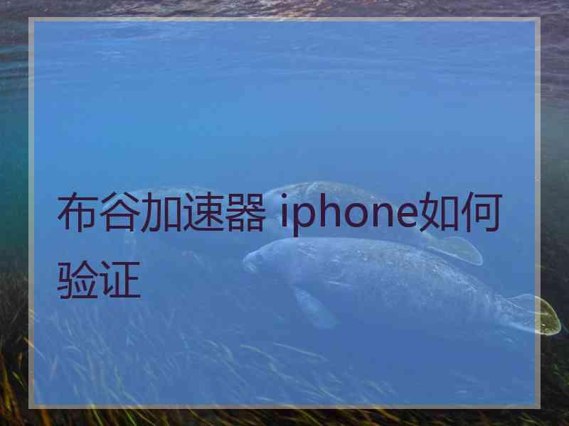 布谷加速器 iphone如何验证