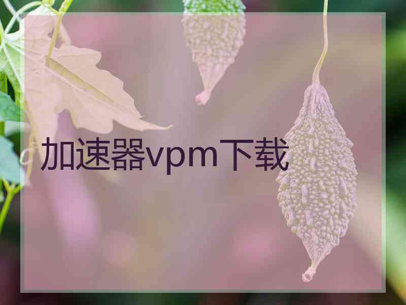 加速器vpm下载