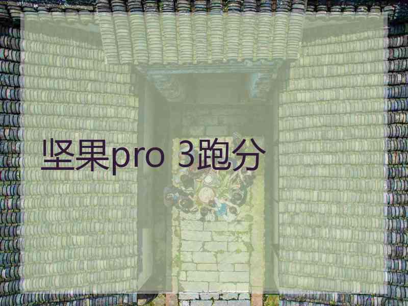 坚果pro 3跑分
