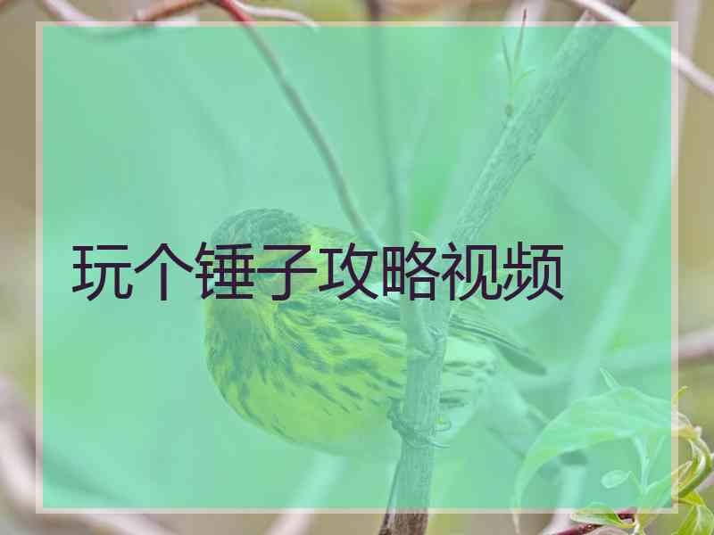 玩个锤子攻略视频