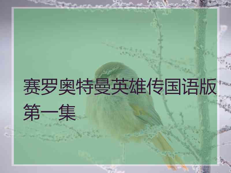 赛罗奥特曼英雄传国语版第一集