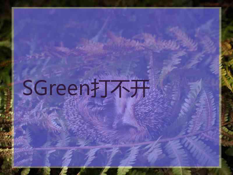 SGreen打不开