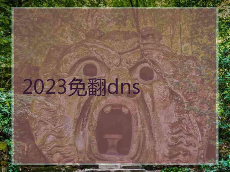 2023免翻dns