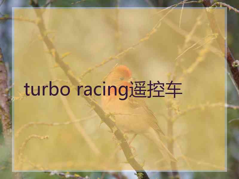 turbo racing遥控车