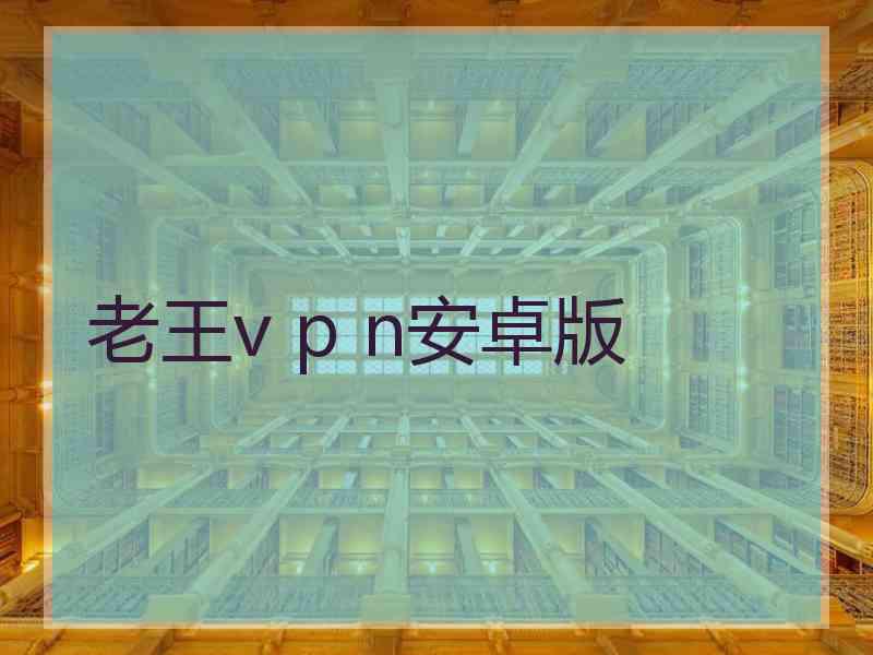 老王v p n安卓版