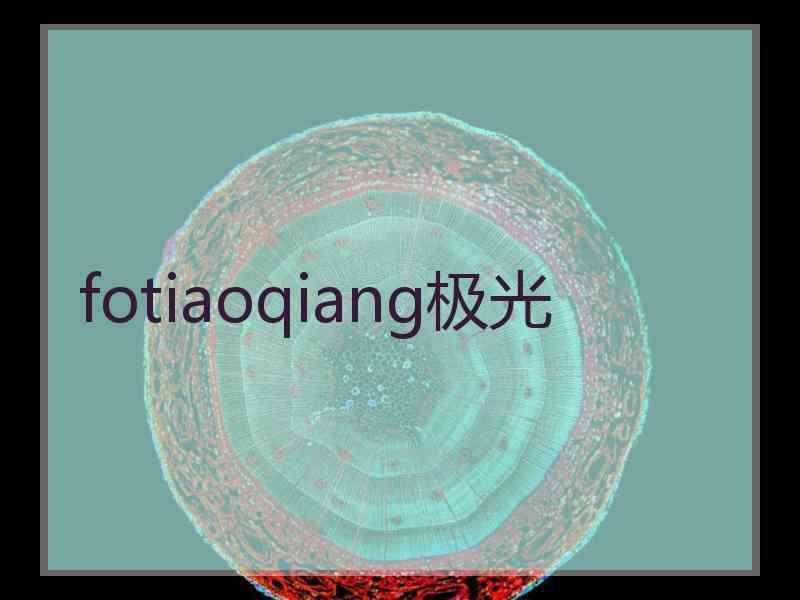 fotiaoqiang极光