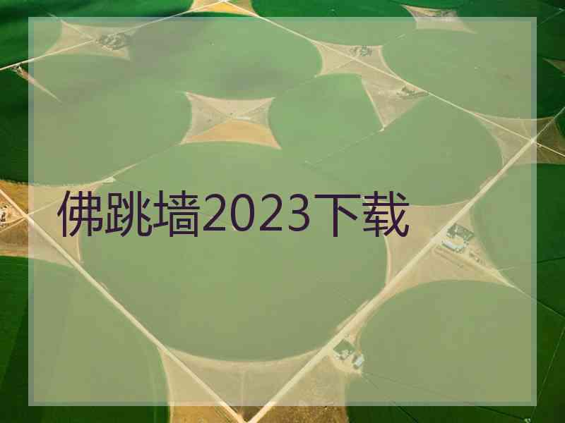 佛跳墙2023下载