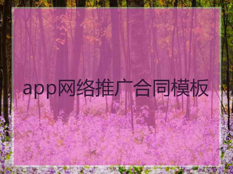 app网络推广合同模板