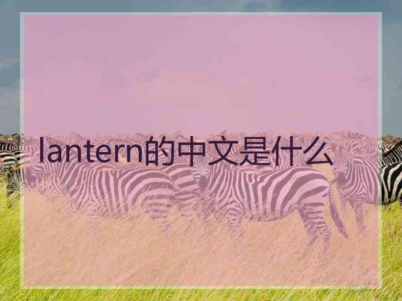 lantern的中文是什么